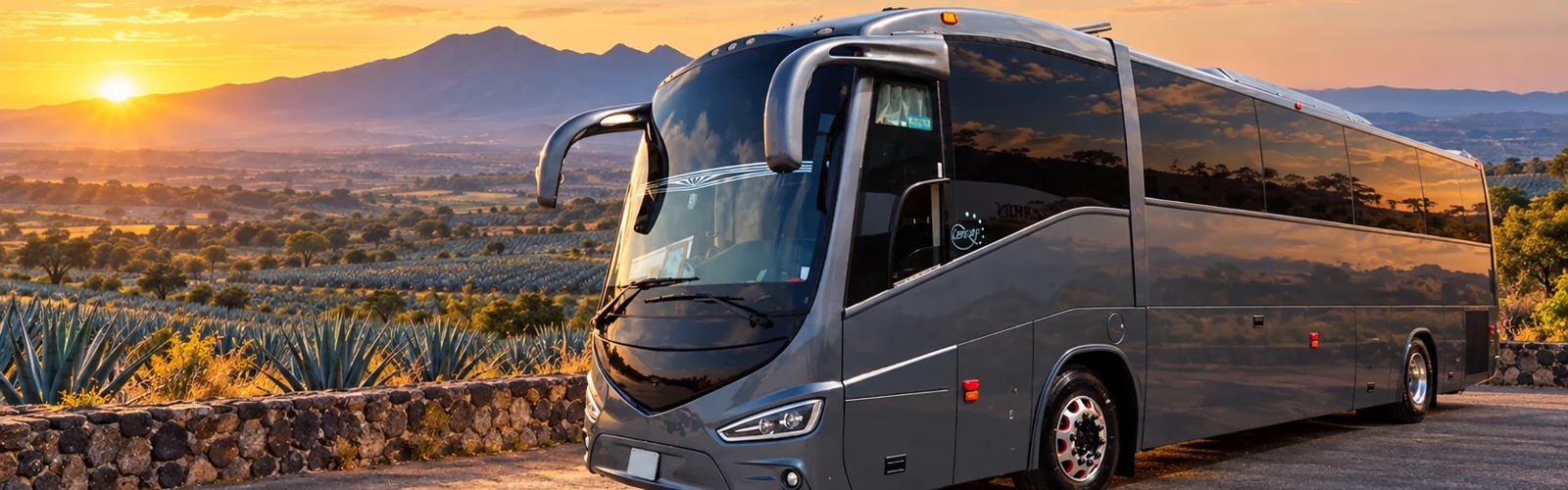 Panorámica ilustrativa de autobuses de lujo